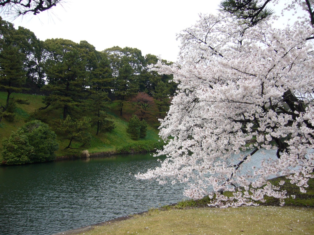 P1000662.JPG