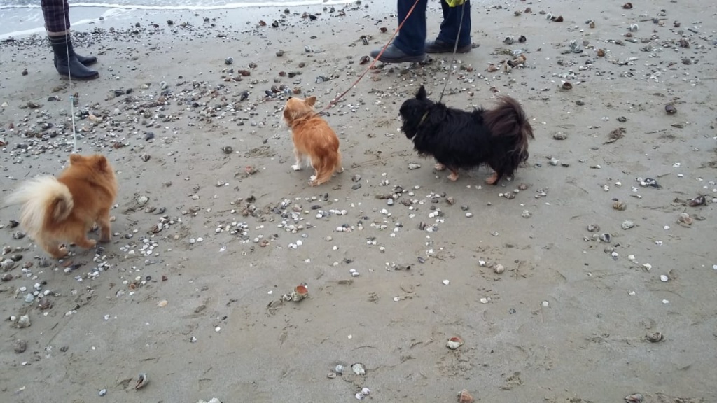 4903959b-96dc-422e-8b27-f84b38c23249.jpg 4903959b-96dc-422e-8b27-f84b38c23249.jpg